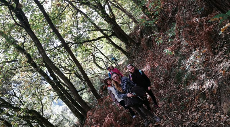 salidaotoñal1-800x445