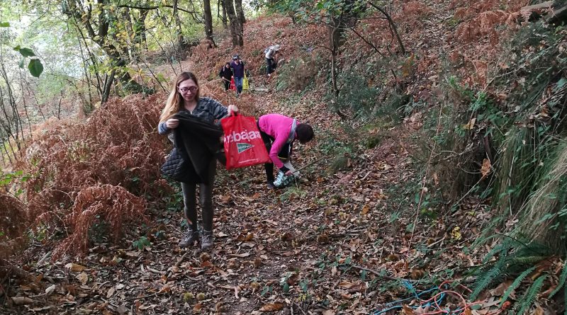 salidaotoñal2-800x445