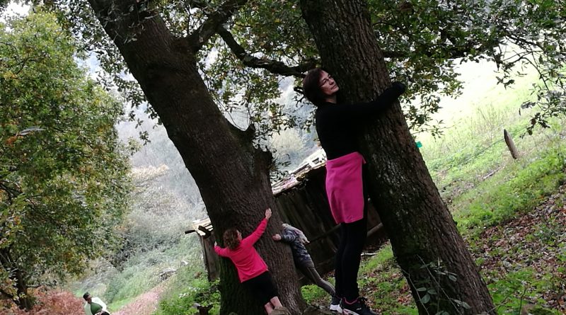 salidaotoñal3-800x445